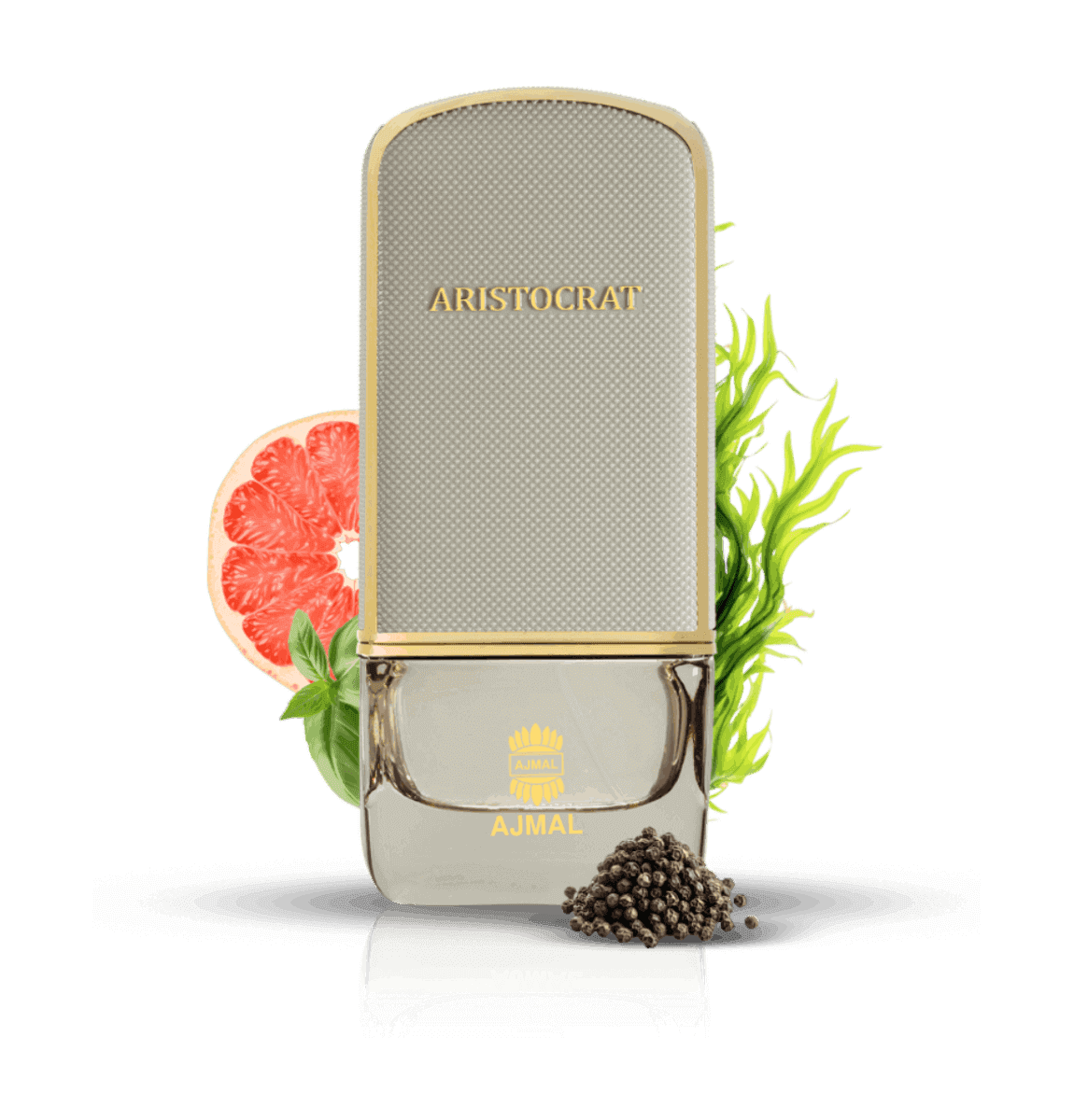 Aristocrat Coastal